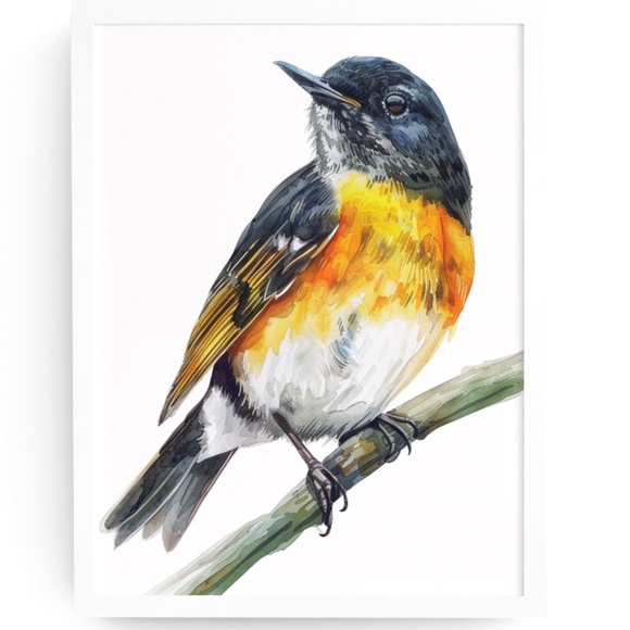 Creative Path Studios Other - Watercolor American Redstart Bird Print Unframed - Wall Art Bird Illustration